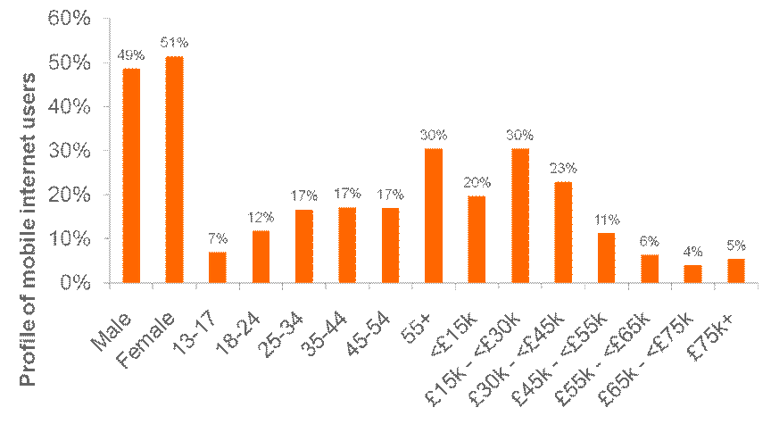 Demographic of mobile internet users