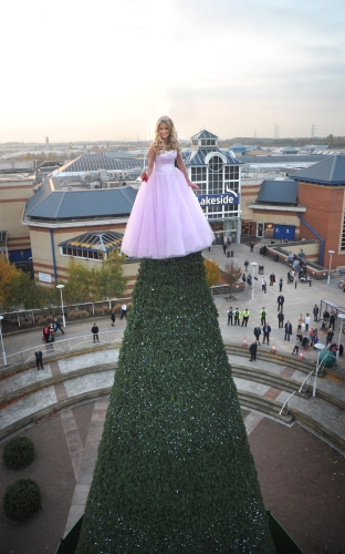 CASE STUDY: Lakeside's Living Christmas Fairy