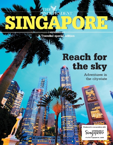 singapore tourism board annual report 2021